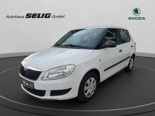 Skoda Fabia Gebrauchtwagen Kaufen