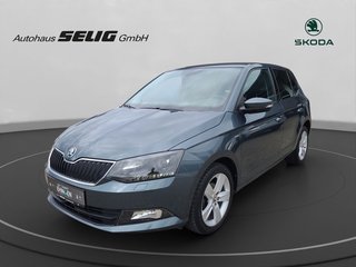 Skoda Fabia Gebrauchtwagen Kaufen