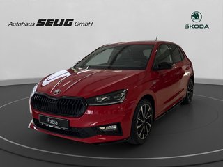 Skoda Fabia Gebrauchtwagen Kaufen