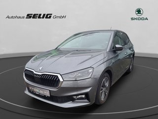 Skoda Fabia Gebrauchtwagen Kaufen