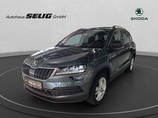 Skoda Karoq Gebrauchtwagen Kaufen
