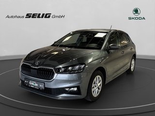Skoda Fabia Gebrauchtwagen Kaufen