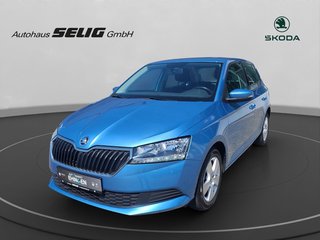 Skoda Fabia Gebrauchtwagen Kaufen