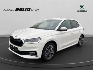 Skoda Fabia Gebrauchtwagen Kaufen