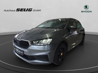 Skoda Fabia Gebrauchtwagen Kaufen
