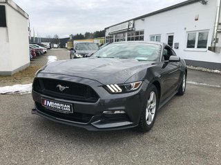 Ford Mustang Used vehicle for sale