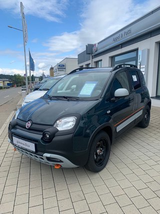 Fiat Panda Neuwagen Kaufen