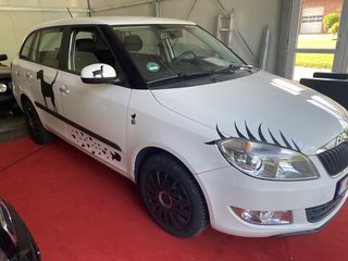 Skoda Fabia Combi Gebrauchtwagen Kaufen