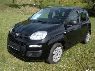 Fiat Panda Gebrauchtwagen Kaufen