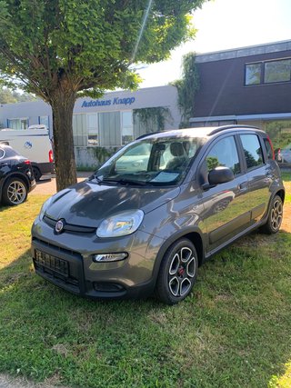 Fiat Panda age.one-day registration Kaufen