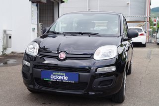 Fiat Panda Easy - bilder 1
