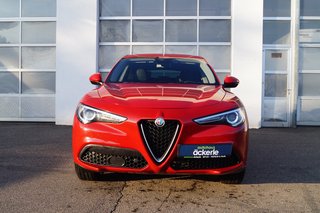 Alfa Romeo Stelvio Business Q4 I Winter,-Assistenz,-Komfort,- Paket I Kamera I Leder - foto 32