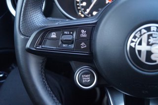 Alfa Romeo Stelvio Business Q4 I Winter,-Assistenz,-Komfort,- Paket I Kamera I Leder - foto 18