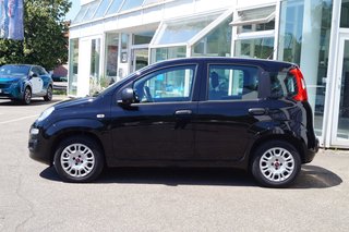 Fiat Panda Easy I Komfort-Paket I Allwetter I - bilder 2
