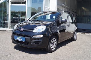 Fiat Panda Gebrauchtwagen Kaufen