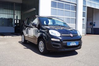 Fiat Panda Easy I Komfort-Paket I Allwetter I - bilder 2