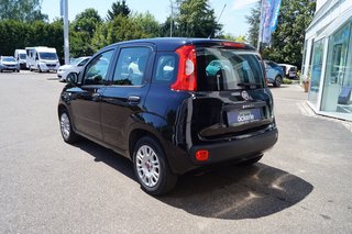 Fiat Panda Easy I Komfort-Paket I Allwetter I - bilder 3