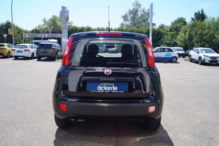 Fiat Panda Easy I Komfort-Paket I Allwetter I - bilder 4