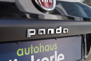 Fiat Panda Easy I Komfort-Paket I Allwetter I - bilder 8