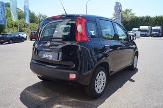 Fiat Panda Easy I Komfort-Paket I Allwetter I - bilder 5