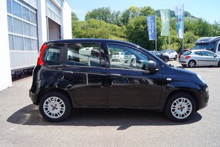 Fiat Panda Easy I Komfort-Paket I Allwetter I - bilder 1