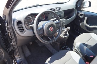 Fiat Panda Easy I Komfort-Paket I Allwetter I - bilder 3