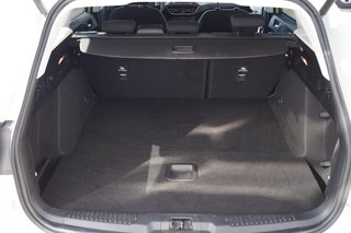 Ford Focus Turnier Active I AHK I Kamera I Navi I ACC I Winter-Paket I Top-Ausstattung - bilder 5
