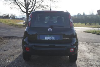 Fiat Panda Cross City-Paket I Klima I Allwetter - bilder 4