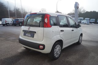 Fiat Panda Easy sehr guter Zustand, wenig Kilometer - bilder 5