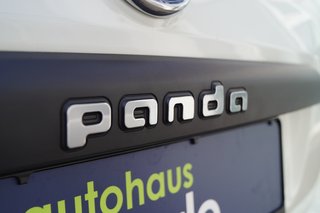 Fiat Panda Easy sehr guter Zustand, wenig Kilometer - bilder 4