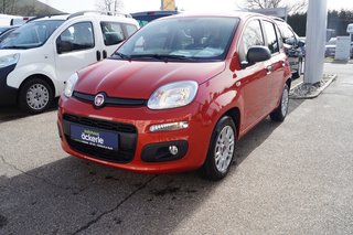 Fiat Panda Gebrauchtwagen Kaufen