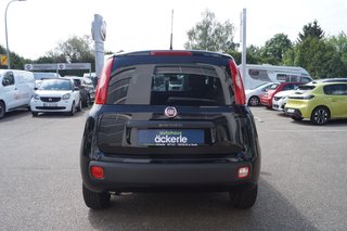 Fiat Panda Easy Winter-Paket I Komfort-Paket | Beheizbare Frontscheibe | SHZ - foto 4