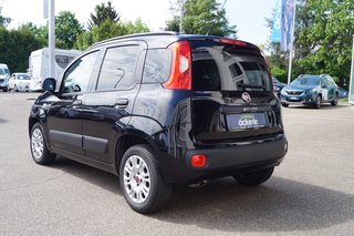 Fiat Panda Easy Winter-Paket I Komfort-Paket | Beheizbare Frontscheibe | SHZ - foto 3
