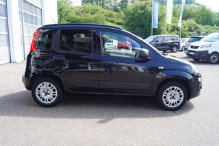Fiat Panda Easy Winter-Paket I Komfort-Paket | Beheizbare Frontscheibe | SHZ - foto 1