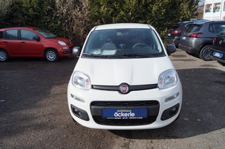 Fiat Panda Gebrauchtwagen Kaufen