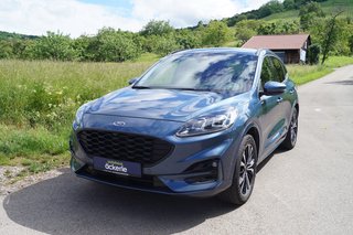 Ford Kuga Gebrauchtwagen Kaufen