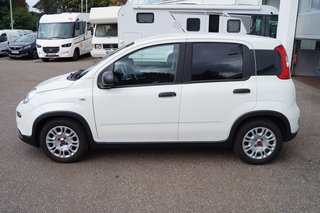 Fiat Panda Base Klima I Bluetooth I DAB I Mild-Hybrid - bilder 2