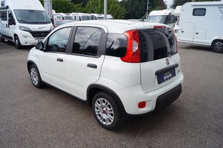 Fiat Panda Base Klima I Bluetooth I DAB I Mild-Hybrid - bilder 3