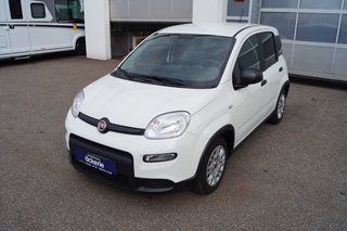 Fiat Panda Gebrauchtwagen Kaufen