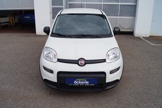 Fiat Panda Base Klima I Bluetooth I DAB I Mild-Hybrid - bilder 3