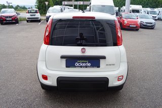 Fiat Panda Base Klima I Bluetooth I DAB I Mild-Hybrid - bilder 4