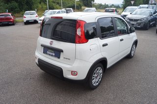 Fiat Panda Base Klima I Bluetooth I DAB I Mild-Hybrid - bilder 5