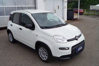 Fiat Panda Base Klima I Bluetooth I DAB I Mild-Hybrid - bilder 2