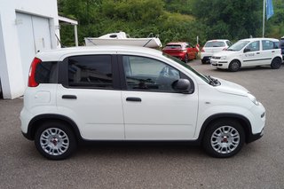 Fiat Panda Base Klima I Bluetooth I DAB I Mild-Hybrid - bilder 1