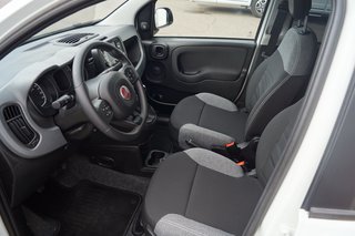 Fiat Panda Base Klima I Bluetooth I DAB I Mild-Hybrid - bilder 10