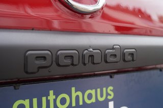 Fiat Panda Cross Red I Sonderedition "RED" I Allwetterreifen - bilder 5