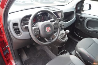 Fiat Panda Cross Red I Sonderedition "RED" I Allwetterreifen - bilder 10