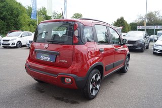 Fiat Panda Cross Red I Sonderedition "RED" I Allwetterreifen - bilder 5