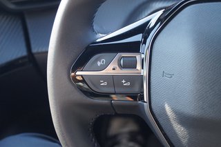 Peugeot 2008 Active I PDC I SHZ I Allwetter - bilder 14