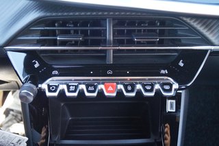 Peugeot 2008 Active I PDC I SHZ I Allwetter - bilder 22
